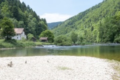 PinoJura_0615_20