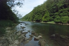 PinoJura_0615_21