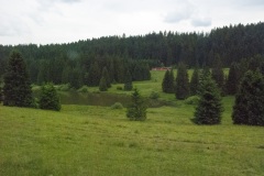 PinoJura_0615_33