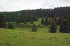 PinoJura_0615_34