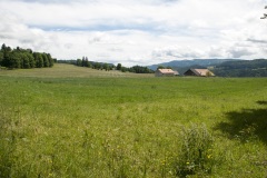 PinoJura_0615_38