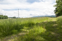 PinoJura_0615_43