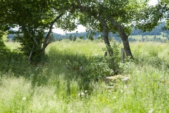 PinoJura_0615_44