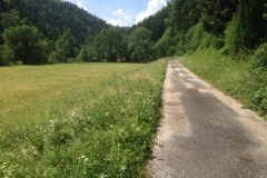 Pino_Jura0615_038
