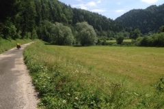 Pino_Jura0615_039