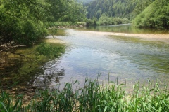 Pino_Jura0615_044