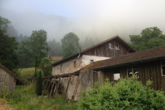 Pino_Jura0615_048