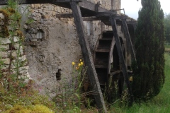 Pino_Jura0615_049