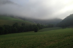 Pino_Jura0615_050
