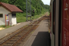 Pino_Jura0615_058