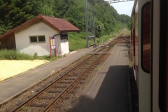 Pino_Jura0615_059