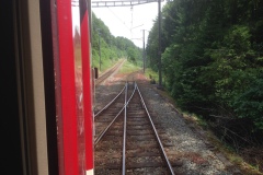 Pino_Jura0615_060