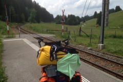 Pino_Jura0615_062