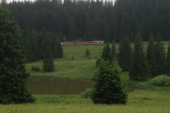 Pino_Jura0615_065