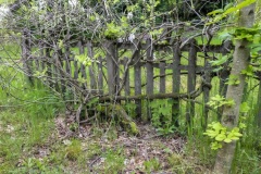 089_Mosel_0506_iphone_399