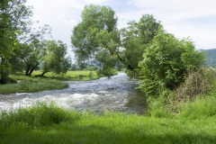 100_Mosel_0506_iphone_403