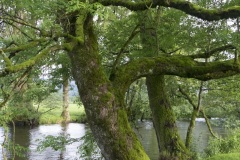 107_Mosel_0506_iphone_409