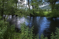 109_Mosel_0506_iphone_411