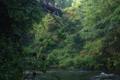 126_Mosel_0606_iphone_049