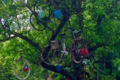 136_Mosel_0606_iphone_059