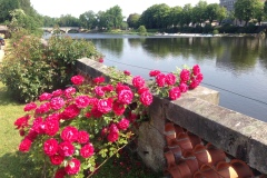 167_Mosel_0706_iphone_062