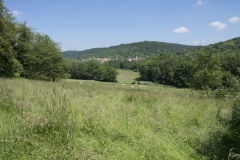 241_Mosel_0906_iphone_495