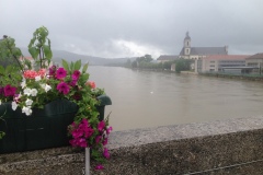 347_Mosel_1106_iphone_537