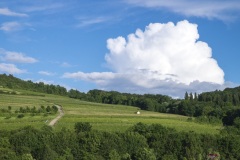 569_Mosel_1506_fuji_086