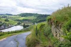 580_Mosel_1606_fuji_083