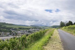 587_Mosel_1606_fuji_077