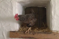 685_Mosel_1706_iphone_254