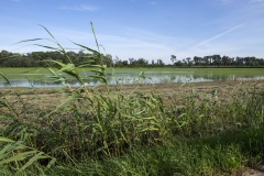 042_05_Albaron_0617_090