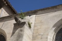 077_07_Arles_0617_173