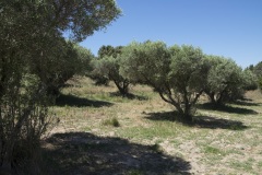 106_08_Grand-Barbegal_0617_255