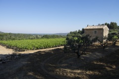 170_11_Menerbes_0617_390