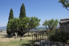 173_11_Menerbes_0617_395