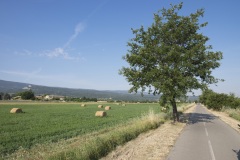 210_14_Pont-Julien_0617_467