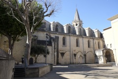 238_16_Carpentras_0617_501