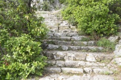 010_Cavaillon_0618_fuji_003