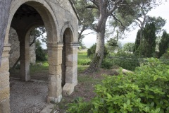 011_Cavaillon_0618_fuji_005