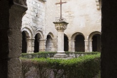 012_Cavaillon_0618_fuji_007