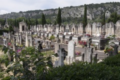 017_Cavaillon_0618_fuji_012