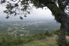 025_Massif-des-Cedres_0618_fuji_028