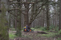 026_Massif-des-Cedres_0618_fuji_031