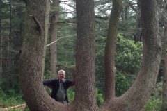 028_Massif-des-Cedres_0618_rrf_015