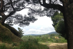 053_Cucuron_0618_rrf_033