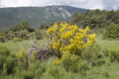 082_Verdon_0618_fuji_081