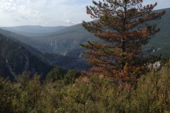 084_Verdon_0618_str_033