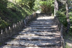 099_Forcalquier_0618_fuji_114