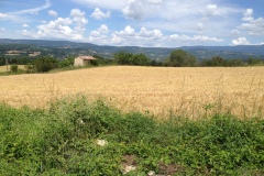 147_Provence_0618_str_053